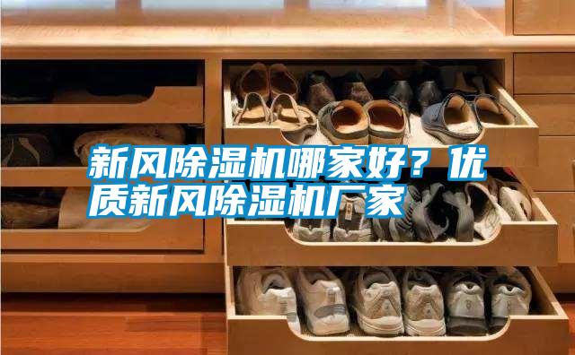 新風除濕機哪家好？優質新風除濕機廠家
