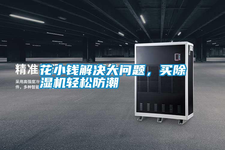 花小錢解決大問題,買除濕機(jī)輕松防潮