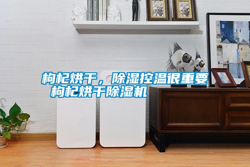 枸杞烘干，除濕控溫很重要 枸杞烘干除濕機(jī)