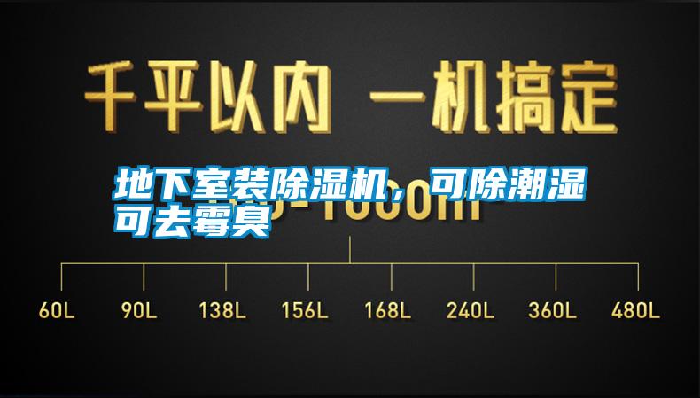 地下室裝除濕機，可除潮濕可去霉臭