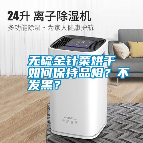 無硫金針菜烘干如何保持品相？不發黑？