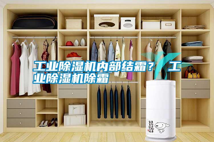 工業除濕機內部結霜？ 工業除濕機除霜