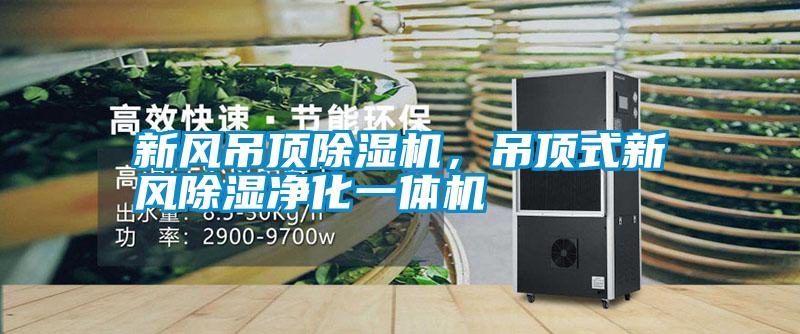 新風(fēng)吊頂除濕機(jī),吊頂式新風(fēng)除濕凈化一體機(jī)