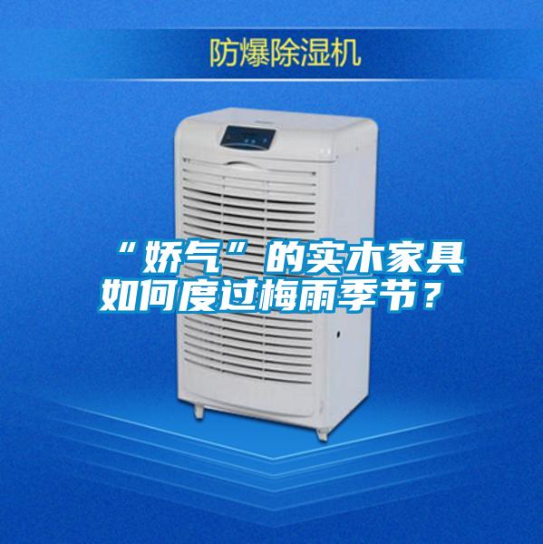 “嬌氣”的實(shí)木家具如何度過(guò)梅雨季節(jié)？