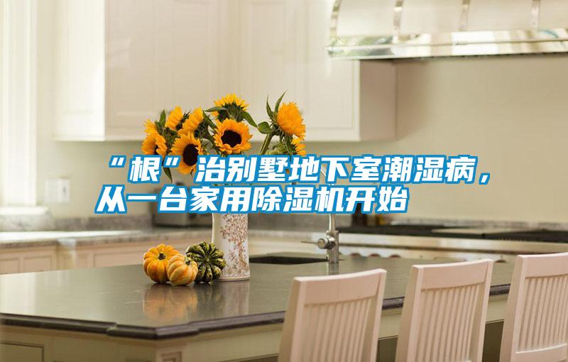 “根”治別墅地下室潮濕病，從一臺家用除濕機開始