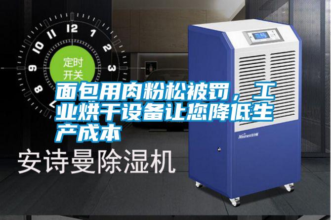 面包用肉粉松被罰，工業烘干設備讓您降低生產成本