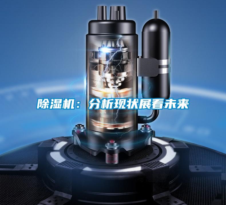 除濕機(jī)：分析現(xiàn)狀展看未來(lái)