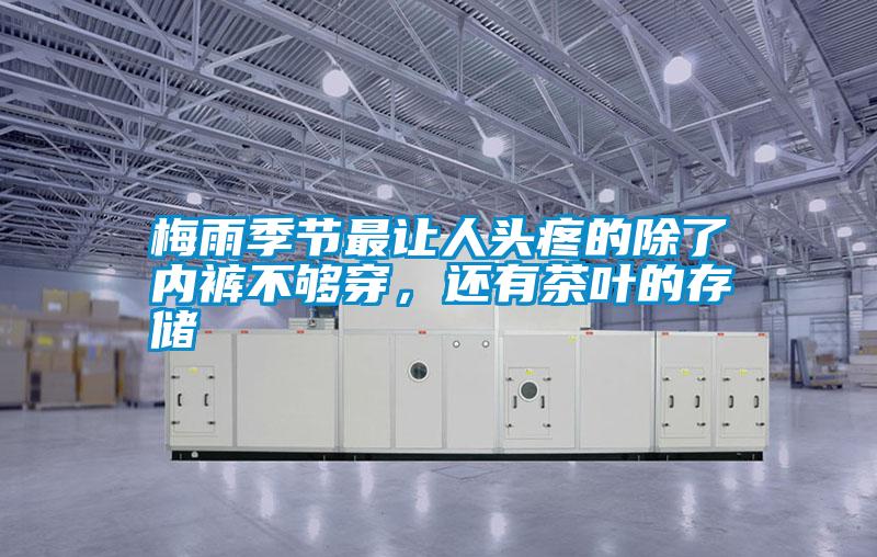 梅雨季節最讓人頭疼的除了內褲不夠穿，還有茶葉的存儲