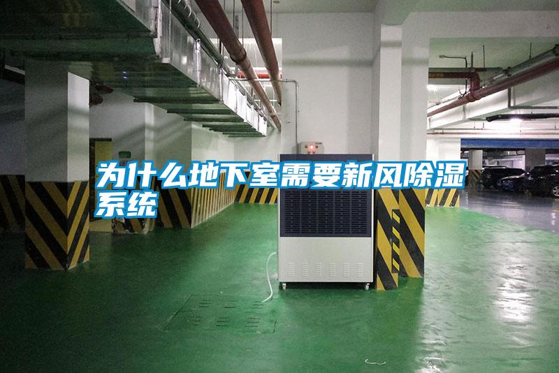 為什么地下室需要新風除濕系統(tǒng)