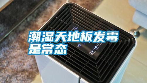 潮濕天地板發霉是常態