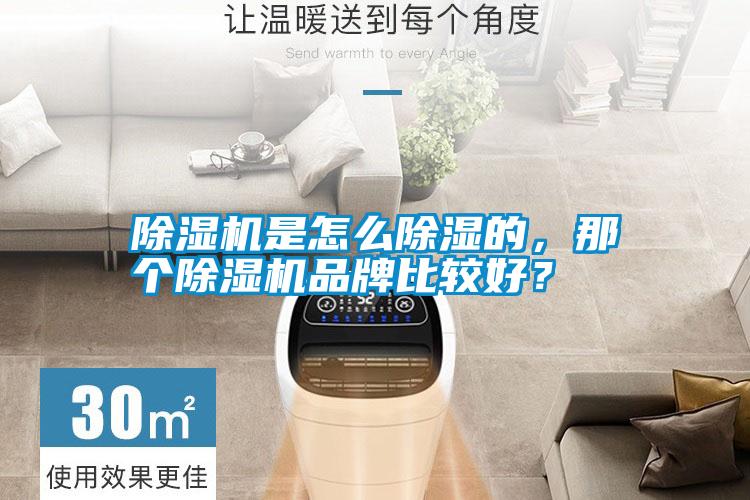 除濕機是怎么除濕的，那個除濕機品牌比較好？