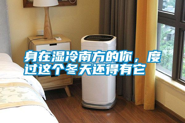 身在濕冷南方的你，度過這個冬天還得有它