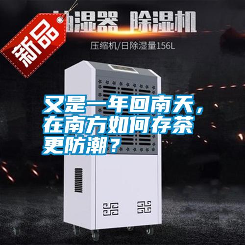 又是一年回南天，在南方如何存茶更防潮？
