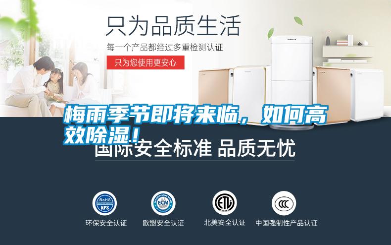 梅雨季節(jié)即將來臨，如何高效除濕！