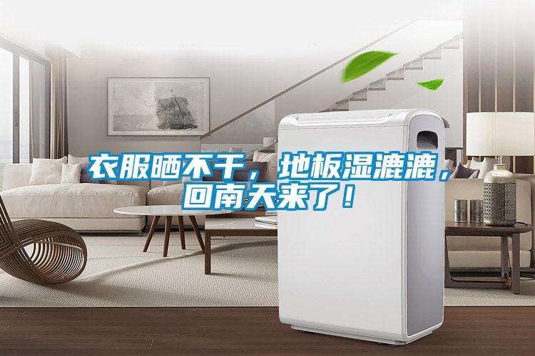 衣服曬不干，地板濕漉漉，回南天來了！