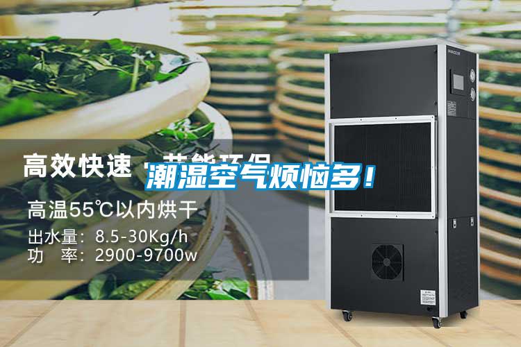 潮濕空氣煩惱多！