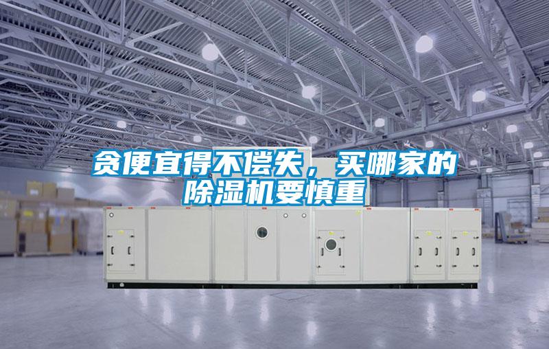 貪便宜得不償失,買哪家的除濕機要慎重