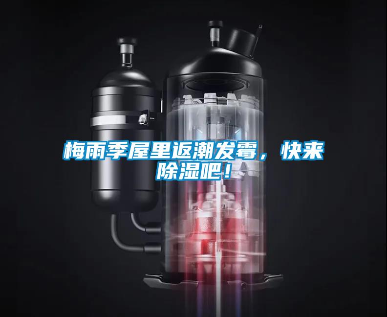 梅雨季屋里返潮發霉，快來除濕吧！