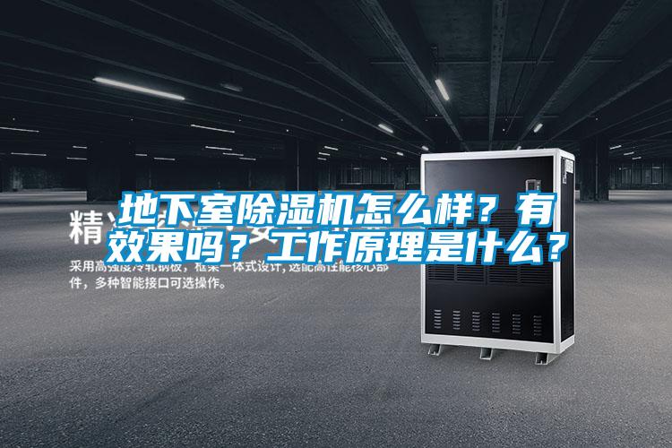 地下室除濕機怎么樣？有效果嗎？工作原理是什么？