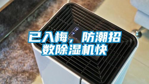 已入梅，防潮招數除濕機快