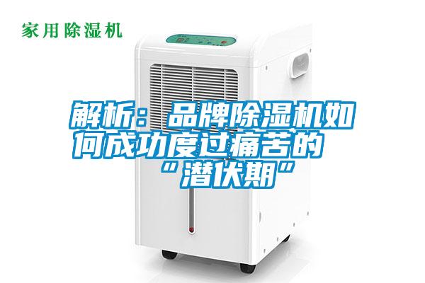 解析:品牌除濕機(jī)如何成功度過痛苦的“潛伏期”