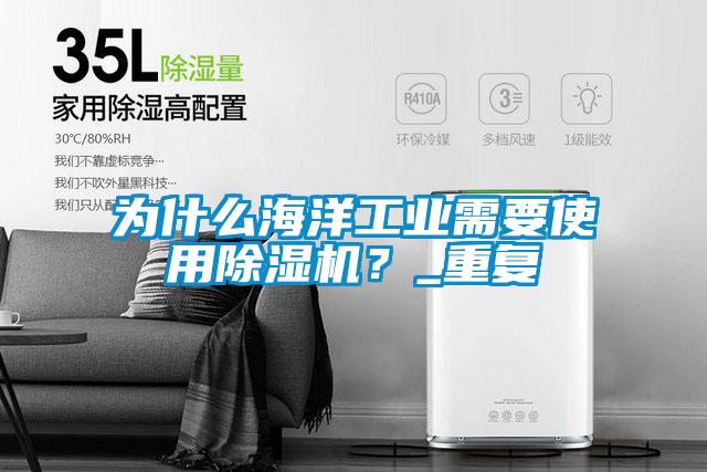 為什么海洋工業(yè)需要使用除濕機？_重復