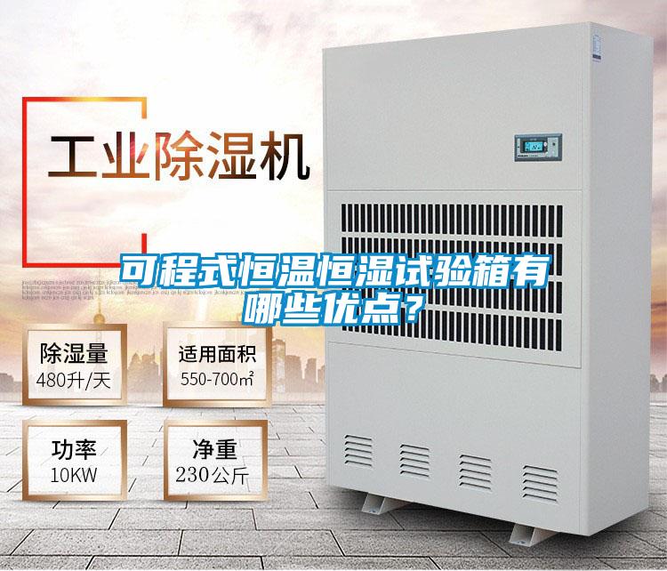 可程式恒溫恒濕試驗箱有哪些優(yōu)點?