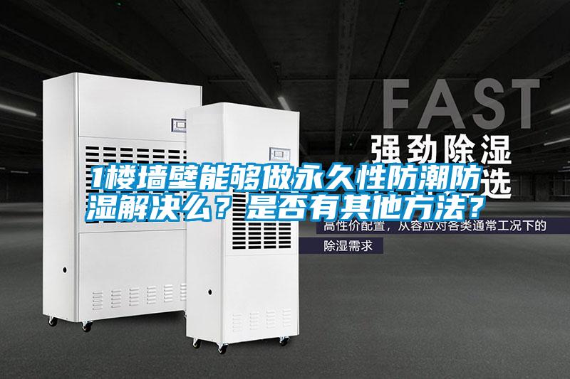 1樓墻壁能夠做永久性防潮防濕解決么?是否有其他方法?