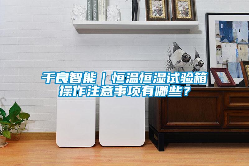 千良智能｜恒溫恒濕試驗箱操作注意事項有哪些？