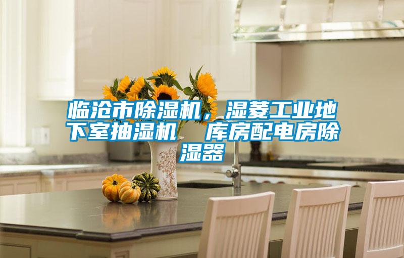 臨滄市除濕機,濕菱工業地下室抽濕機 庫房配電房除濕器