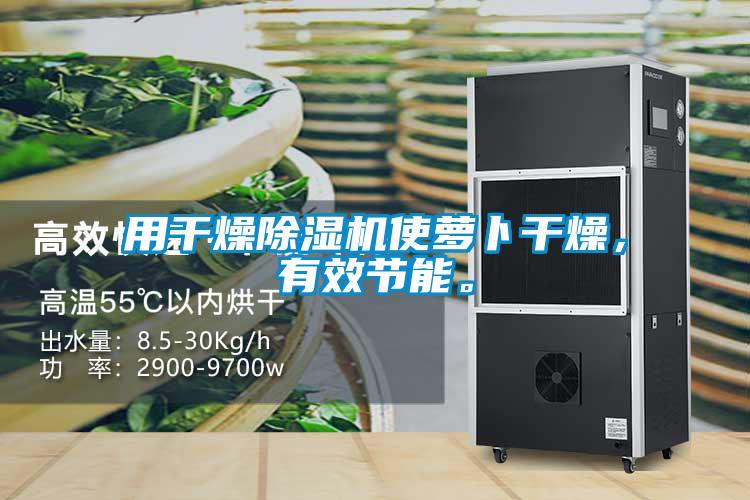 用干燥除濕機使蘿卜干燥，有效節能。