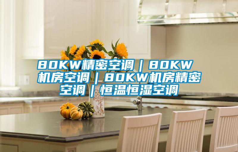 80KW精密空調(diào)|80KW 機房空調(diào)|80KW機房精密空調(diào)|恒溫恒濕空調(diào)