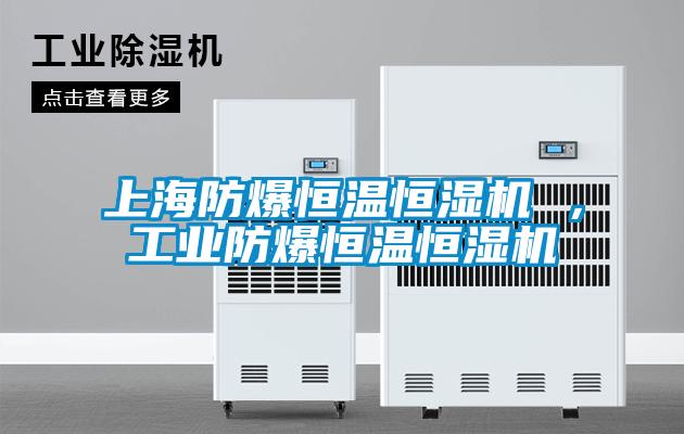 上海防爆恒溫恒濕機 ，工業防爆恒溫恒濕機