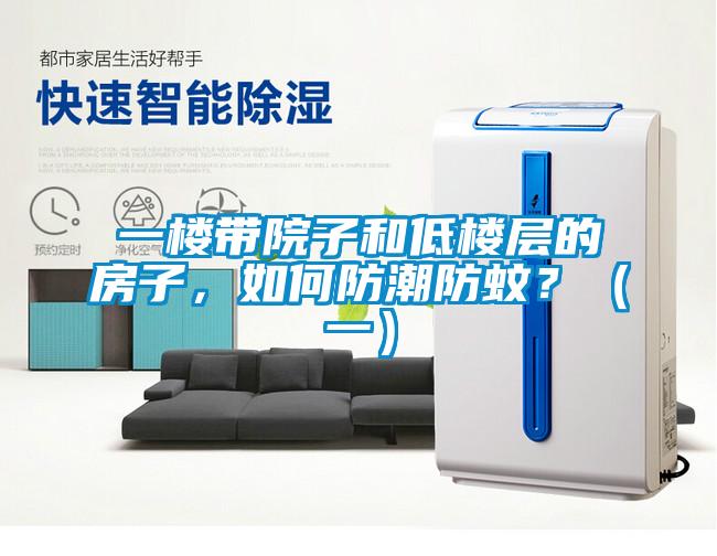 一樓帶院子和低樓層的房子，如何防潮防蚊？（一）