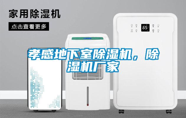 孝感地下室除濕機，除濕機廠家