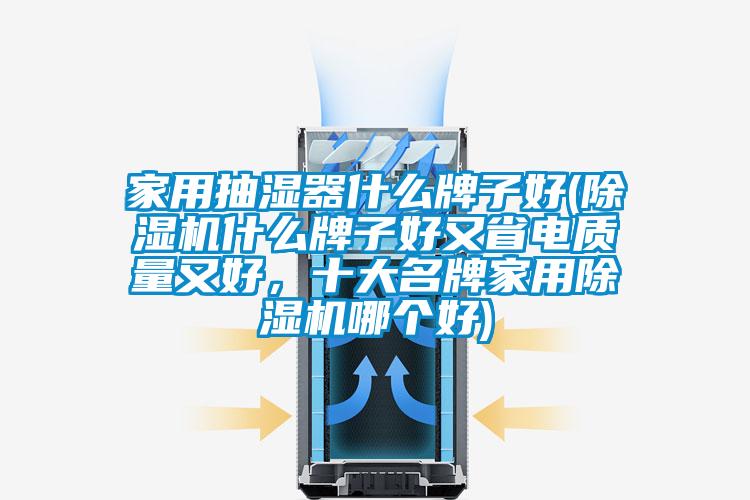 家用抽濕器什么牌子好(除濕機什么牌子好又省電質量又好，十大名牌家用除濕機哪個好)